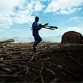 马拉维，伐木工全球最大体育平台在森林被砍伐的地区收集木材. 